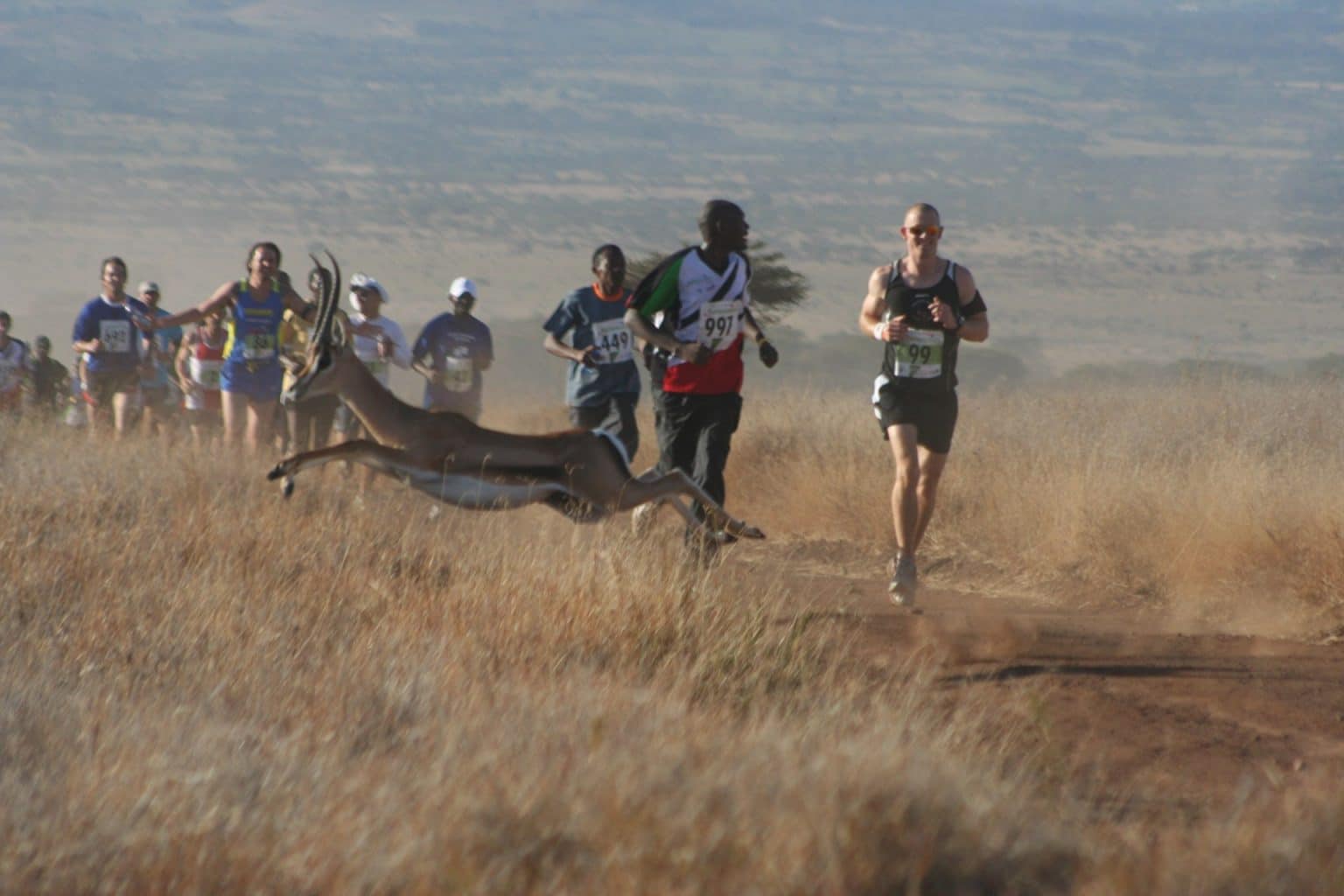 Lewa Safari Marathon
